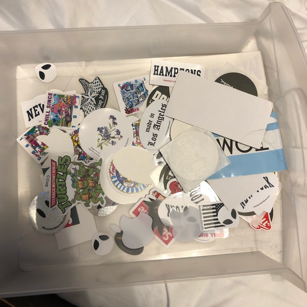 All my orders come with multiple Brandy Stickers!
